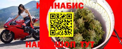 гашик Тверь