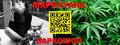 гашик Тверь
