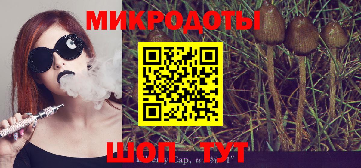 Галлюциногенные грибы мицелий  продажа наркотиков  Вход с VPN  Менделеевск  Галлюциногенные грибы Psilocybine cubensis 